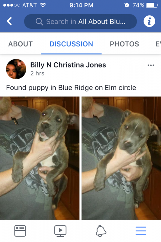 Lost Dog found on Elm Circle 03/02/2018