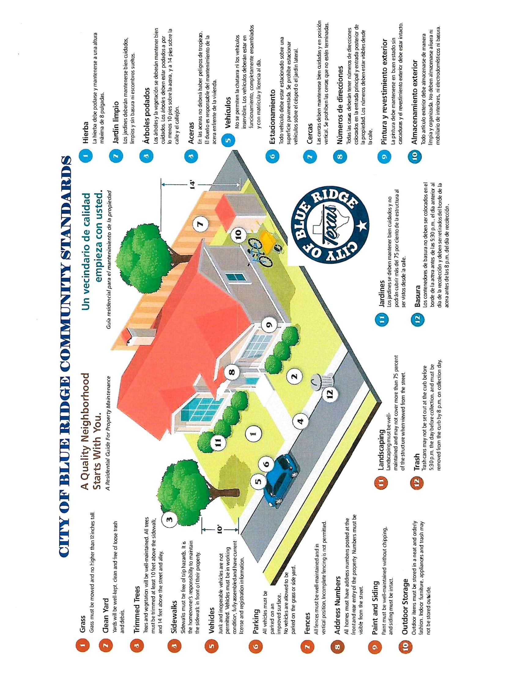 Code Informational Flyer